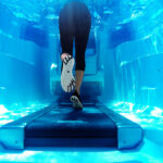 GALLERY - ENDLESS™ POOLS FITNESS SYSTEMS E550 MODEL WITH UNDERWATER TREADMILL